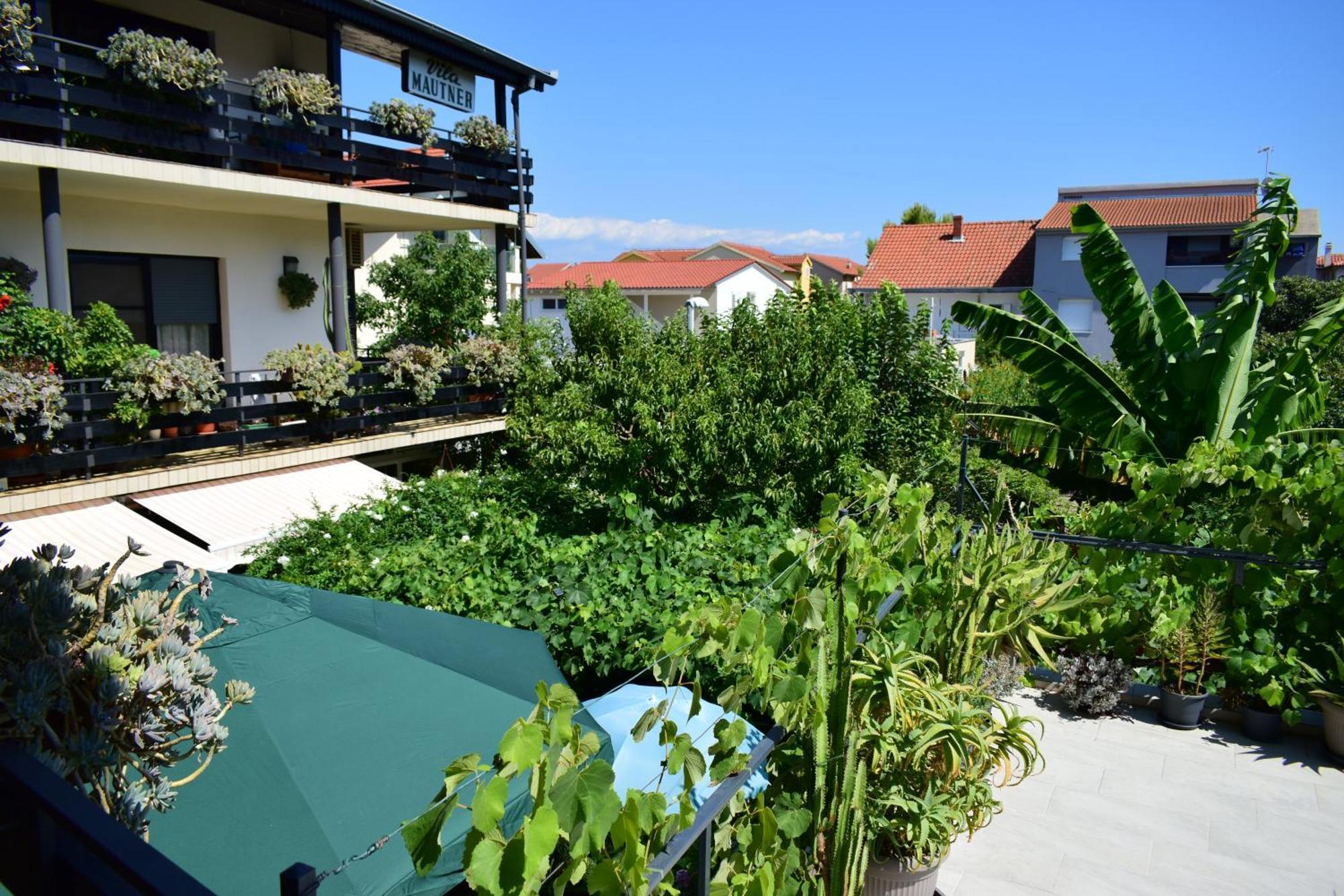 Rooms Vila Mautner Vodice Exteriör bild