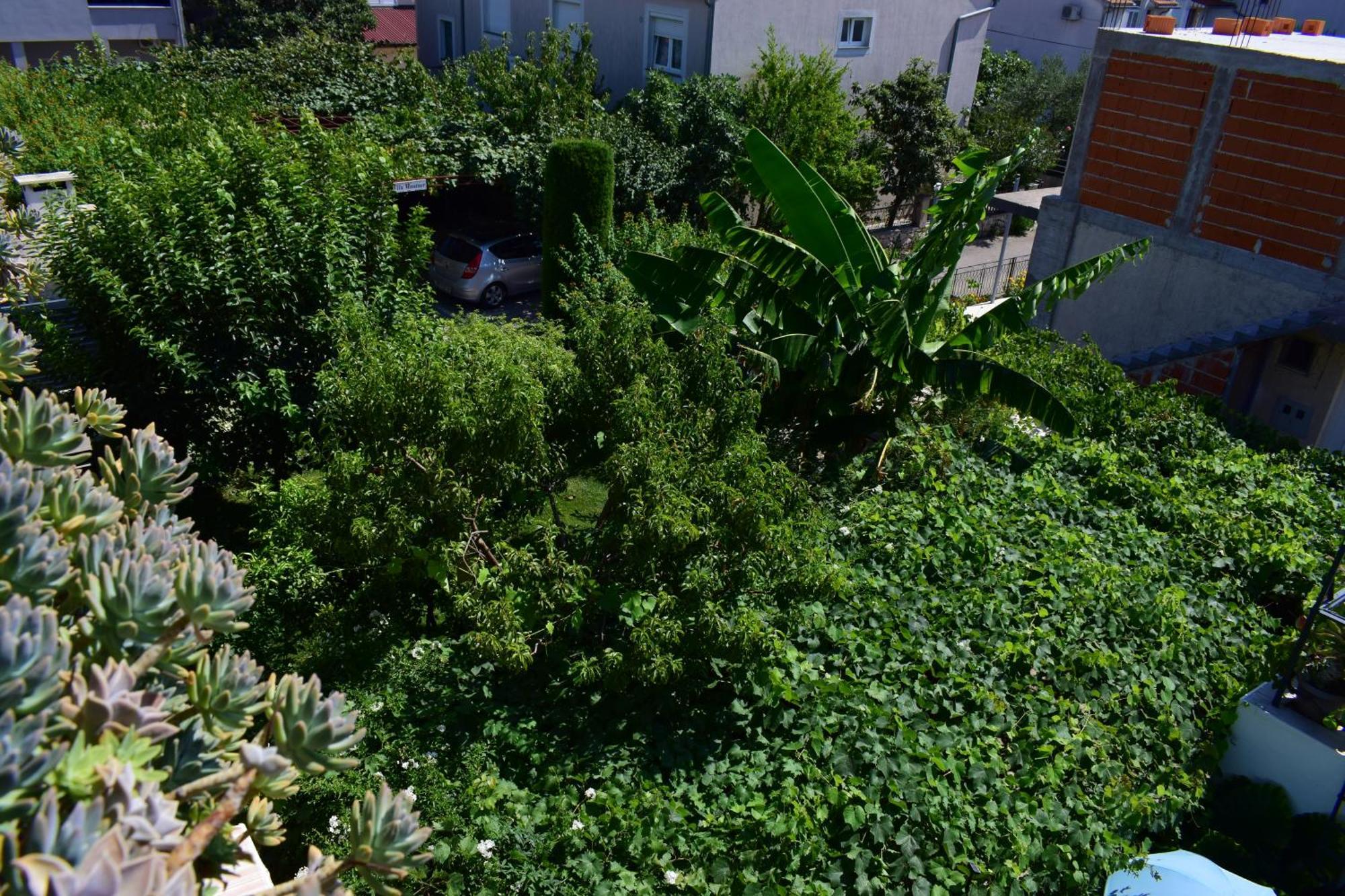 Rooms Vila Mautner Vodice Exteriör bild